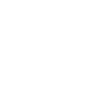 icon10 1