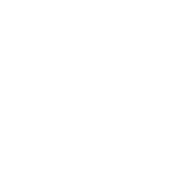 icon13