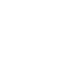 s8icon 1